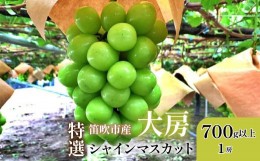 【ふるさと納税】＜2024年先行予約＞山梨県笛吹市 特選 旬の採れたてシャインマスカット 700g以上　1房 105-013