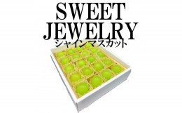 【ふるさと納税】＜2024年先行予約＞山梨県笛吹市産シャインマスカット〜SWEET JEWELRY 105-016