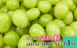 【ふるさと納税】＜2024年先行予約＞山梨県笛吹市産　シャインマスカット訳有粒　1kg以上 105-018