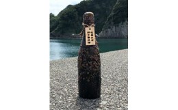 【ふるさと納税】達磨正宗　海中熟成酒（日本酒・純米酒）