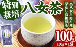 【ふるさと納税】奥八女星野村 深蒸し高級煎茶(計100g) 八女茶 緑茶 せん茶 おちゃ お茶 やめ 深蒸し茶  常温 常温保存【ksg1344】【おど