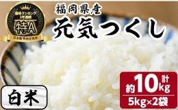 【ふるさと納税】白米 元気つくし(計10kg・5kg×2袋) お米 こめ コメ 精米 ブランド米 10キロ ごはん ご飯 常温 常温保存【ksg1330-A】【