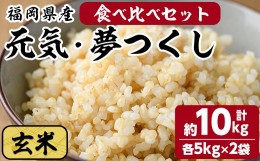 【ふるさと納税】玄米 元気つくし・夢つくしの食べ比べセット(計10kg・各5kg×2袋)お米 こめ コメ 玄米 ブランド米 10キロ ごはん ご飯 