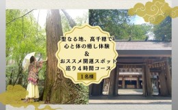 【ふるさと納税】聖なる地、高千穂で心と体の癒し体験！＆おススメの開運スポット巡り4時間コース 1名様 A196