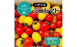 【ふるさと納税】ミニトマト 品種 MIX 1.3kg[ トマト 有機質肥料 ]