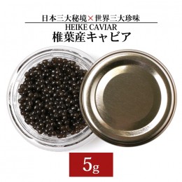 【ふるさと納税】【訳あり】HEIKE CAVIAR 5ｇ 【宮崎県 椎葉村】キャビア　チョウザメ 【世界三大珍味×日本三大秘境】