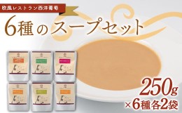 【ふるさと納税】6種のスープセット (1袋250g×6種類 各2袋 計12袋) 『欧風レストラン 西洋葡萄』 山形県 南陽市 [2004]