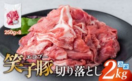 【ふるさと納税】豚肉 切り落とし 小分け 2kg (250g×8) 真空パック 冷凍 笑子豚  岩手県 金ケ崎町 令和6年1月以降順次発送