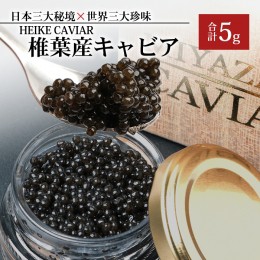 【ふるさと納税】【桐箱入り】HEIKE CAVIAR 5ｇ 【宮崎県 椎葉村】 チョウザメ　キャビア 【世界三大珍味×日本三大秘境】