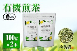 【ふるさと納税】宇治・有機煎茶 100ｇ×2本〈有機 オーガニック 無農薬 お茶 茶 煎茶 緑茶 有機煎茶 飲料 茶葉 日本茶 宇治茶 加工食品