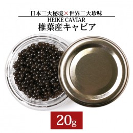 【ふるさと納税】【訳あり】HEIKE CAVIAR 20ｇ 【宮崎県 椎葉村】フレッシュキャビア 【世界三大珍味×日本三大秘境】