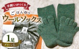 【ふるさと納税】ひつじ飼いが作る ごほんゆびウールソックス Lサイズ(グリーン)【ウール ソックス 5本指 靴下 Lサイズ グリーン 緑 深緑