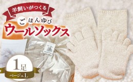 【ふるさと納税】ひつじ飼いが作る ごほんゆびウールソックス Lサイズ(ベージュ)【ウール ソックス 5本指 靴下 Lサイズ ベージュ レディ