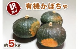 【ふるさと納税】[先行予約／訳あり] 有機かぼちゃ(約5kg) 令和6年7月下旬より順次発送【黒澤農園】｜南瓜 カボチャ 九重栗 国産 JAS 産