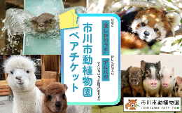 【ふるさと納税】市川市動植物園ペアチケット　【12203-0195】