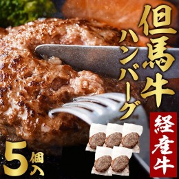 【ふるさと納税】010AA09N.但馬牛 経産牛 ハンバーグ（150g×5個）