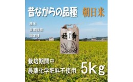 【ふるさと納税】栽培期間中農薬・肥料不使用で作った朝日米　精米5kg【1473446】