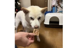 【ふるさと納税】どこでもスグに愛犬のおやつ　牛たん皮約40g×3ヶセット【1448716】