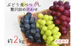 【ふるさと納税】5-276 皮ごと食べられる！希少ぶどう3色特別詰め合わせ約2.0？