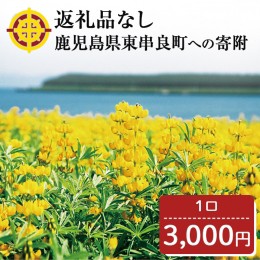 【ふるさと納税】【0034601a】＜返礼品なし＞鹿児島県本土でいちばん小さな町「東串良町」への寄附(1口：3,000円)