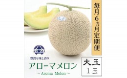 【ふるさと納税】＜毎月定期便＞アローマメロン(大玉)1玉・6ヵ月毎月お届け全6回【4006992】