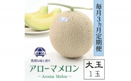 【ふるさと納税】＜毎月定期便＞アローマメロン(大玉)1玉・3ヵ月毎月お届け全3回【4006993】