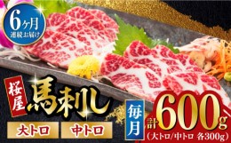 【ふるさと納税】【全6回定期便】馬刺し 2種 計600g (大トロ 中トロ)各300g 熊本 冷凍 馬肉 馬刺 ヘルシー【有限会社 桜屋】[YBW105]