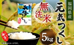 【ふるさと納税】【令和5年産】福岡県産 元気つくし 無洗米 5kg お米 ご飯 米