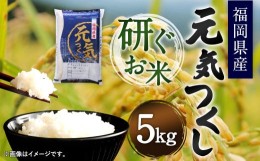 【ふるさと納税】【令和5年産】福岡県産 元気つくし 研ぐお米 5kg お米 ご飯 米