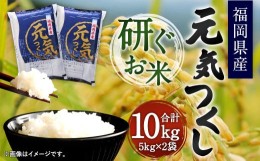 【ふるさと納税】【令和5年産】福岡県産元気つくし 研ぐお米 10kg お米 ご飯 ブランド米