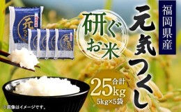 【ふるさと納税】【令和5年産】福岡県産 元気つくし 研ぐお米 25kg お米 ご飯 米