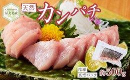 【ふるさと納税】屋久島産 天然カンパチ 約500g ブロック 冷凍 真空パック