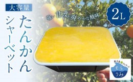 【ふるさと納税】屋久島産たんかんのシャーベット 2L【大容量 家庭用 2リットル】