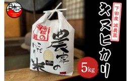 【ふるさと納税】＜豆州庵＞下田産　キヌヒカリ(下田産キヌヒカリ5kg)