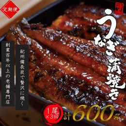 【ふるさと納税】【全3回定期便】極上！国産うなぎ蒲焼 1尾×3回 計3尾 約600g 創業100年以上続く老舗 紀州備長炭でじっくり焼き上げた専