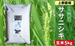 【ふるさと納税】新潟産自然栽培ササニシキ玄米　5kg