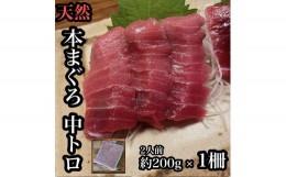 【ふるさと納税】貴重な天然本鮪 中トロ 約200g 1柵　約2人前●くどくない上質な脂が美味しい！【とろ マグロ 惣菜 海鮮 お取り寄せ 御中