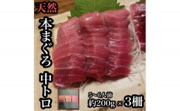 【ふるさと納税】貴重な天然本鮪 中トロ 約200g 3柵　5〜6人前●くどくない上質な脂が美味しい！【とろ マグロ 惣菜 海鮮 お取り寄せ 御