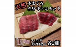 【ふるさと納税】貴重な天然本鮪 赤身 約200g 中トロ 約200g 各2柵ずつ 4〜5人前●赤身はマグロの中心部天身を使用！中とろの脂はくどく