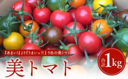 【ふるさと納税】美トマト（5色）1kg_M317-002