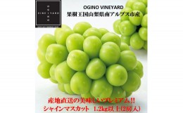 【ふるさと納税】5-267 【２０２４年秋収穫先行予約】山梨県産シャインマスカット １．2ｋｇ以上2房入ギフト化粧箱入り、贈り物用に