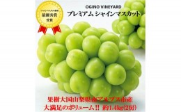 【ふるさと納税】5-268 【２０２４年秋収穫先行予約】山梨県産シャインマスカット 約１．４ｋ ｇ２房入ギフト化粧箱入り、贈り物用に