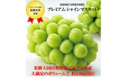 【ふるさと納税】5-270 【２０２４年秋収穫先行予約】山梨県産シャインマスカット 約２．０ｋ ｇ以上 ３房入ギフト化粧箱入り、贈り物用