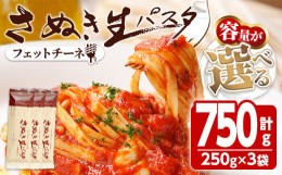 【ふるさと納税】＜新登場・容量が選べる＞さぬき生パスタ (フェットチーネ) (750g) パスタ スパゲッティ スパゲティ デュラムセモリナ 