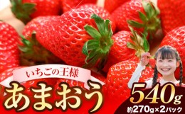 【ふるさと納税】★2025年出荷分★【先行予約】いちご あまおう 大容量産あまおう 540g 【着日指定不可】《3月中旬-4月末頃出荷予定》 い