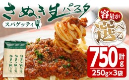 【ふるさと納税】＜新登場・容量が選べる＞さぬき生パスタ(スパゲッティ) (750g) パスタ スパゲティ デュラムセモリナ コシ もちもち さ