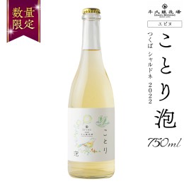 【ふるさと納税】【 数量限定 】 エピヌ 「 ことり 泡 」 つくば シャルドネ 2022 茨城県産 牛久醸造場 日本ワイン スパークリングワイン