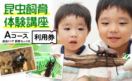 【ふるさと納税】【幼児〜小学生対象】昆虫飼育体験講座Aコース（昆虫成虫1ペアと飼育セット付き＜体験：7月〜9月の各日曜日＞）ご利用券