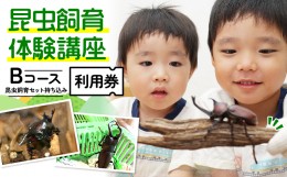 【ふるさと納税】【幼児〜小学生対象】昆虫飼育体験講座Bコース（昆虫・飼育セット各自お持ち込み＜体験：9月〜12月の各日曜日＞）ご利用