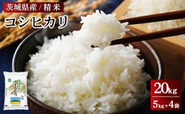 【ふるさと納税】令和5年産 茨城県産 コシヒカリ　精米　合計20kg（5kg×4袋）※着日指定不可※離島への配送不可